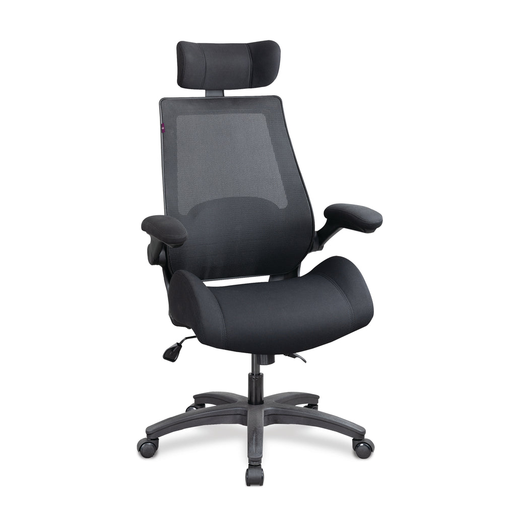 Resolute High Back Mesh Chair with High Weight Capacity, Deep Moulde